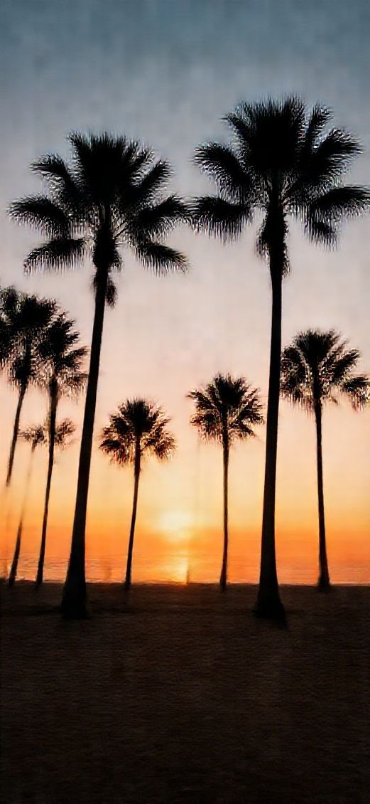 Summer Sunset Beach Silhouette Palm Trees Photorealistic Ultra Wallpaper