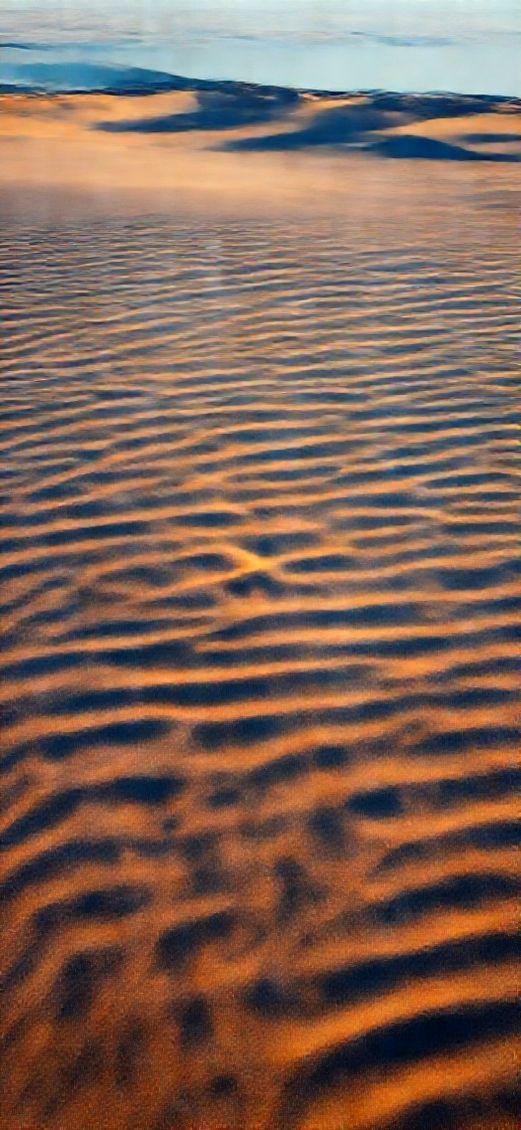 Warm Tropical Heat Shimmer Desert Wallpaper