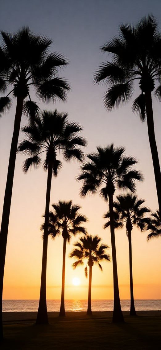 Beach Silhouette Palm Trees Aesthetic Edition Wallpaper