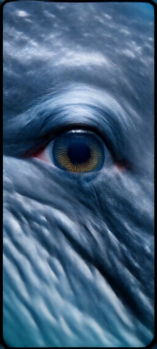 Matte Eye Closeup Deep Intelligent Ocean Wallpaper