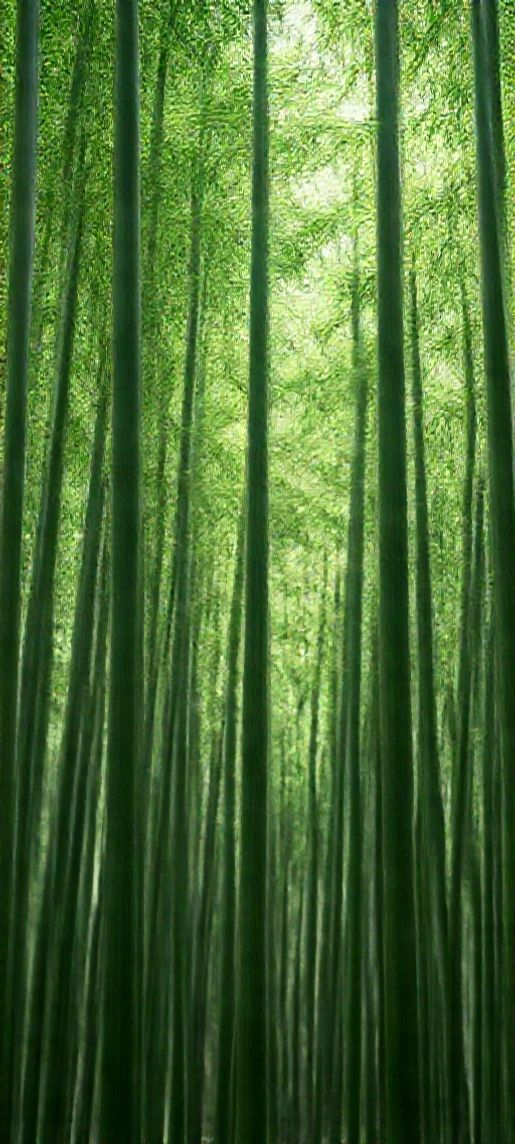 Minimalist Swaying Wind Light Filtering Wallpaper