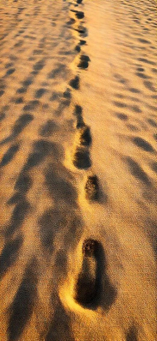 Golden Hour Footprints Sand Aesthetic Remix Wallpaper