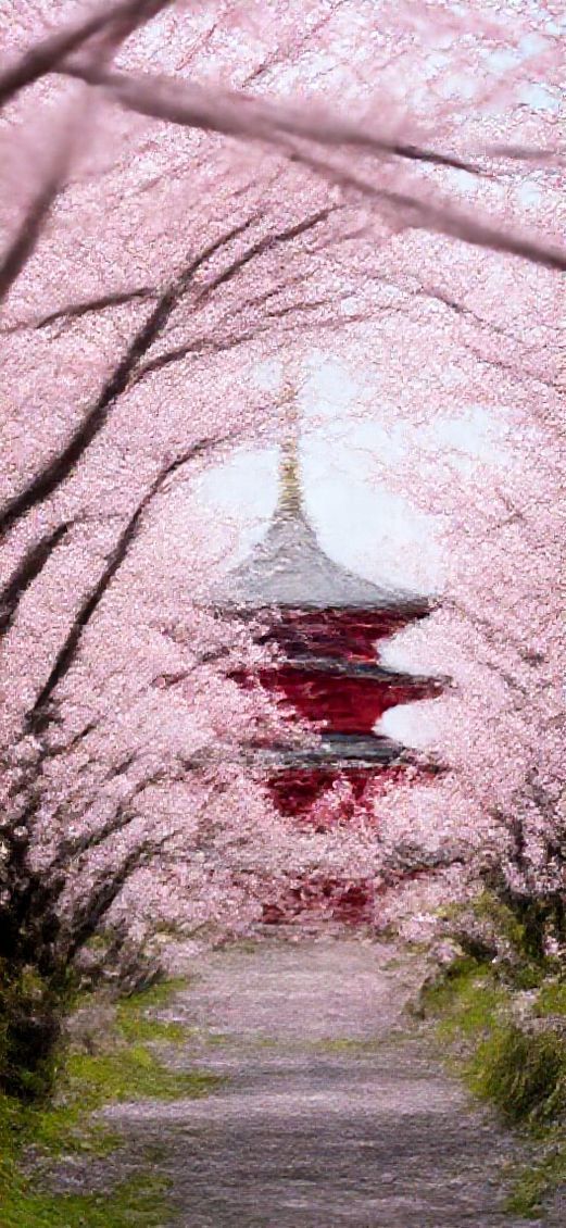 Dynamic Peak Japan Blossoms Cherry Photorealistic Wallpaper