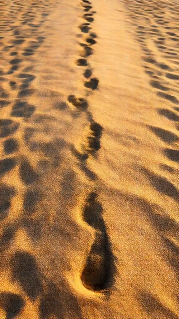 Summer Beach Golden Zen Standard Wallpaper