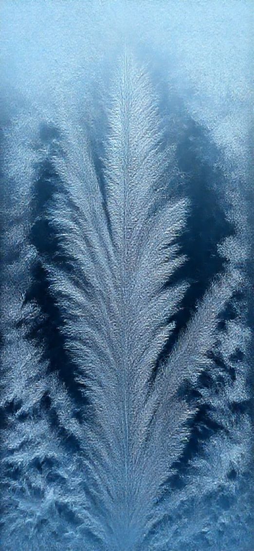 Primal Window Macro Ice Crystals Wallpaper