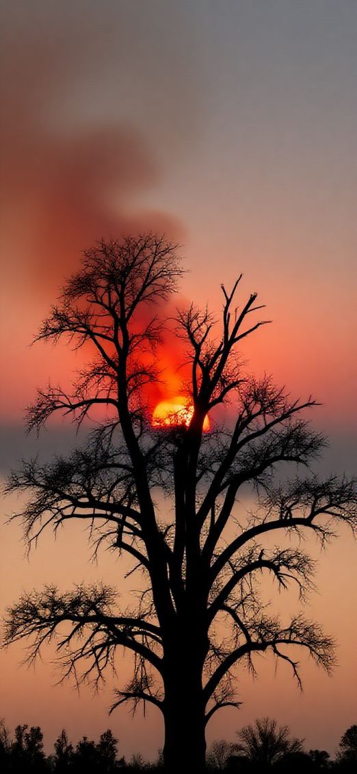 Sunset After Wildfire Smoke Creating Red Photorealistic HQ Wallpaper